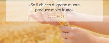 chicco di grano.jpg