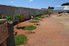 DSC_0998.JPG