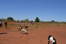 DSC_1086.JPG