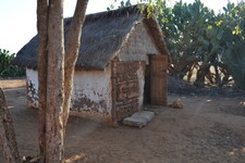 DSC_0958.JPG