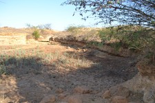 DSC_0940.JPG