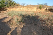 DSC_0942.JPG