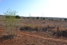 DSC_1166.JPG
